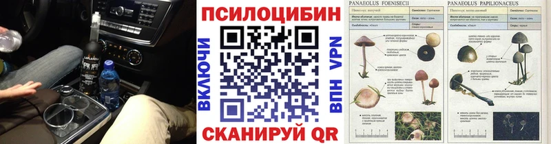 наркота  Богородск  Галлюциногенные грибы Cubensis 