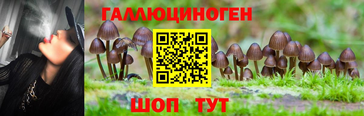 цена наркотик  Вход с VPN  Богородск  Галлюциногенные грибы мицелий 