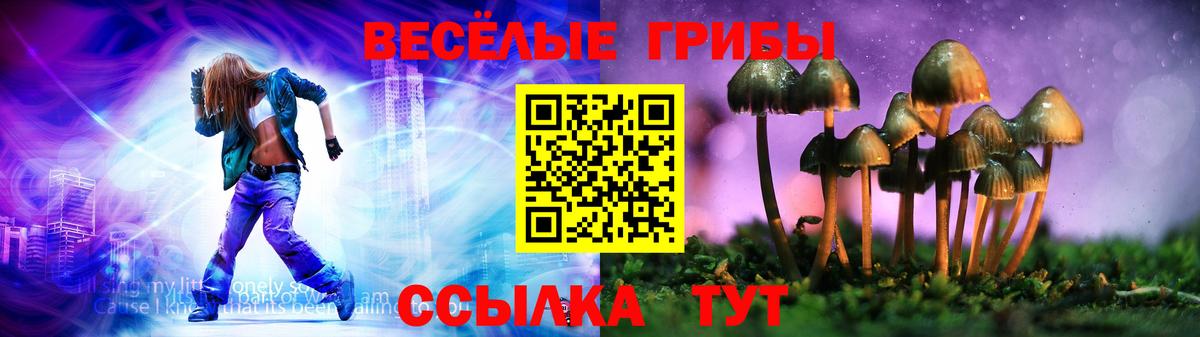 Галлюциногенные грибы MAGIC MUSHROOMS Богородск