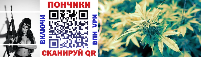 Канабис ГИДРОПОН  Богородск 